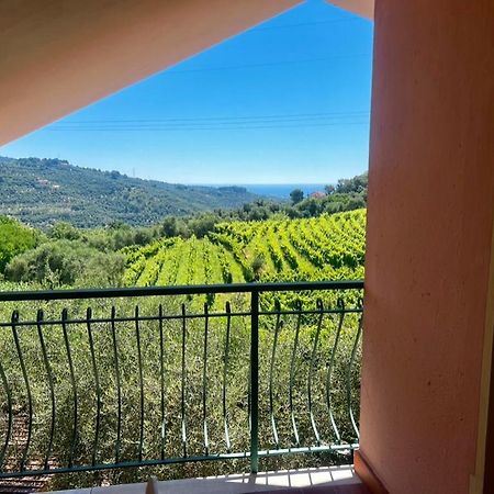 Agriturismo Ada Musso Ss Diano Borello Eksteriør bilde